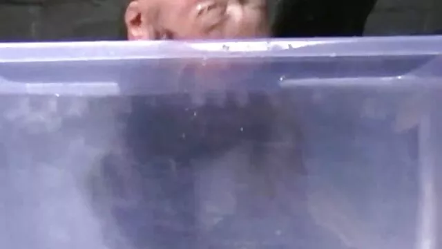 pobre pornor coroas rapariga Síria anal para pagar renda